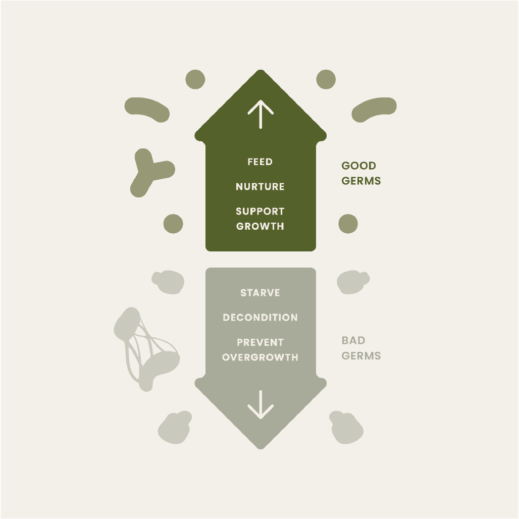 Wearology x BIOM Healthy Microbiome for Skin Barrier