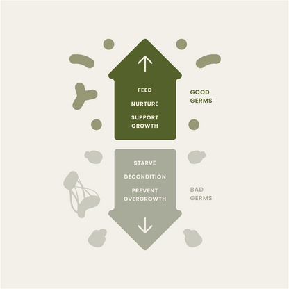 Wearology x BIOM Healthy Microbiome for Skin Barrier